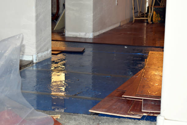 Professional Burst Pipe Cleanup technician working in Hewett, WV